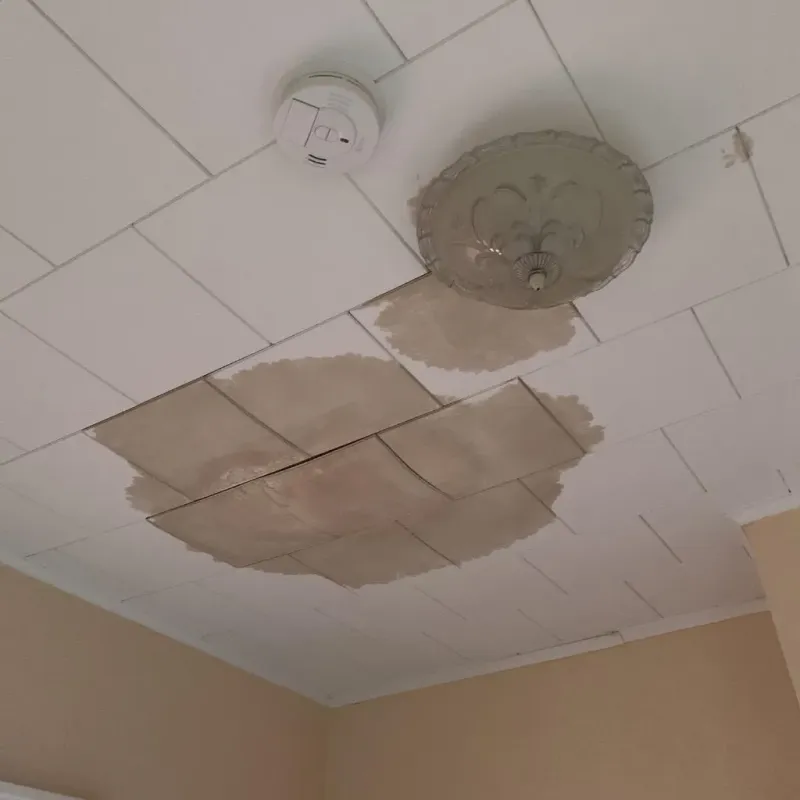 Ceiling Water Damage Repair in Bellaire, KS