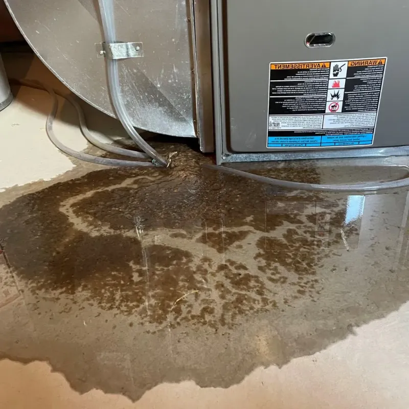 Pipe Burst and Leak Restoration in Bellaire, KS