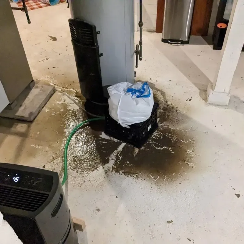 Sewage Backup Cleanup Service in Bellaire, KS